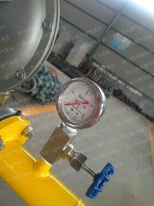 工业用单路计量燃气调压箱润丰工厂特别设计型号齐全 工业用单路计量燃气调压箱